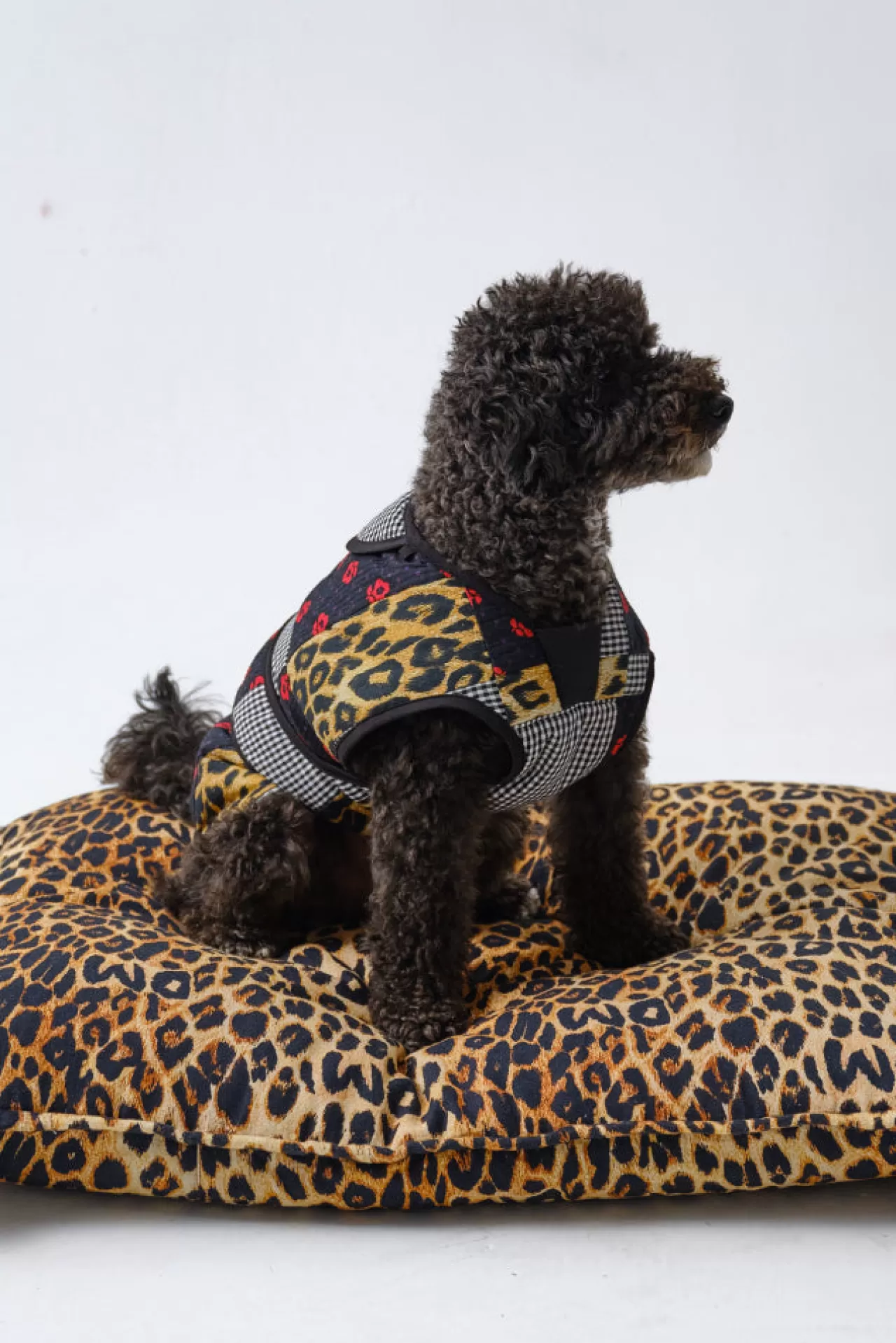 Clearance Damson Madder patchwork dog coat multi
